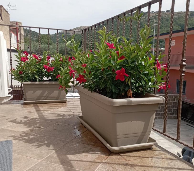 Photo of Patio Balcony in Castel Morrone