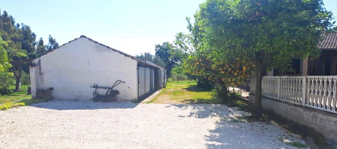 Photo of Others in Santi Cosma e Damiano