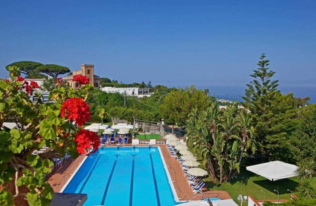 Photo of Others in Anacapri