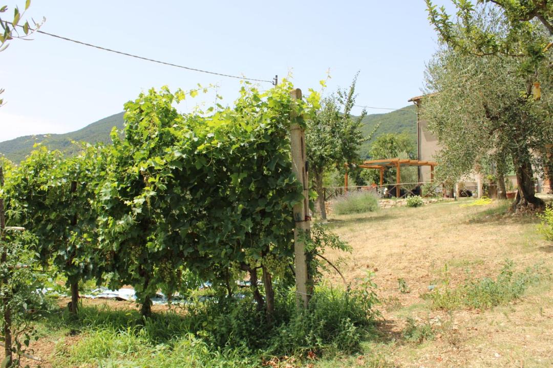 Photo of Others in Avigliano Umbrio