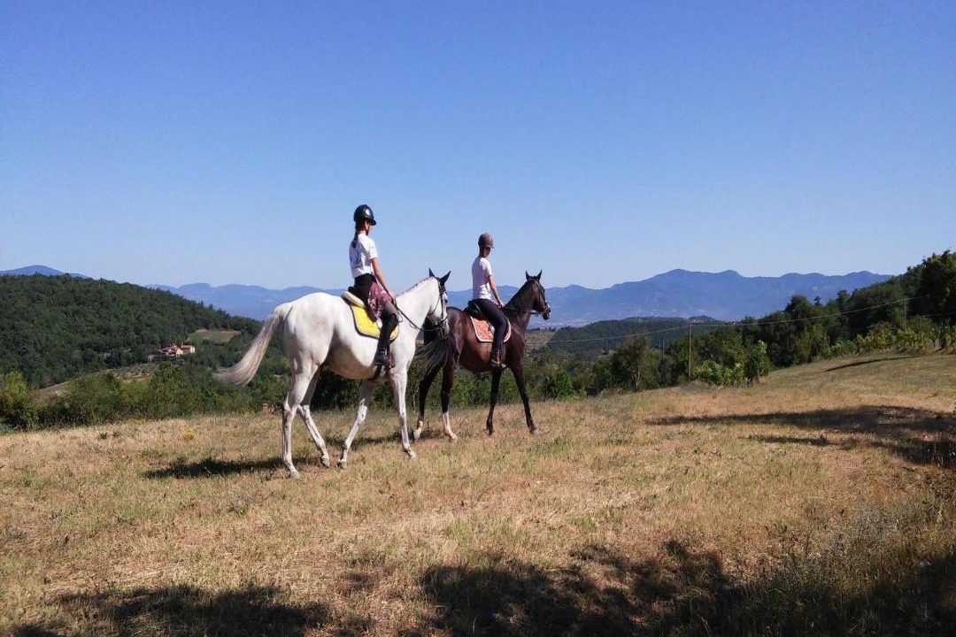 Photo of Others in Monte Santa Maria Tiberina