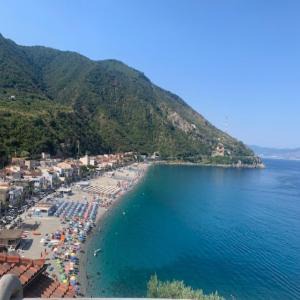 Photo of Others in Scilla