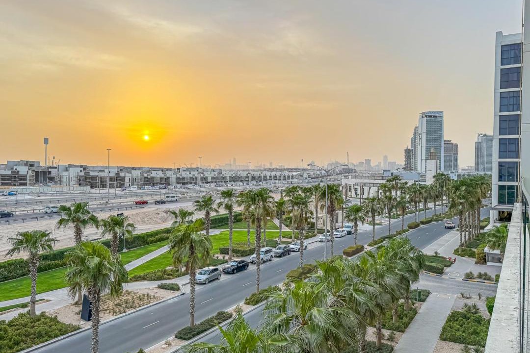 Photo of Others in Dubai