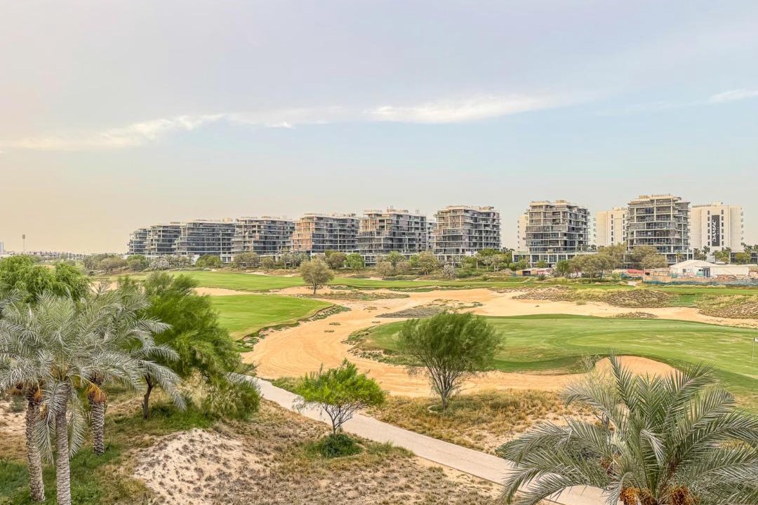 Photo of Others in Dubai