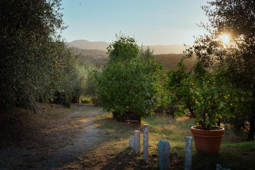 Photo of Others in Cavriglia