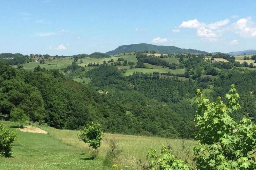 Photo of Others in Apecchio
