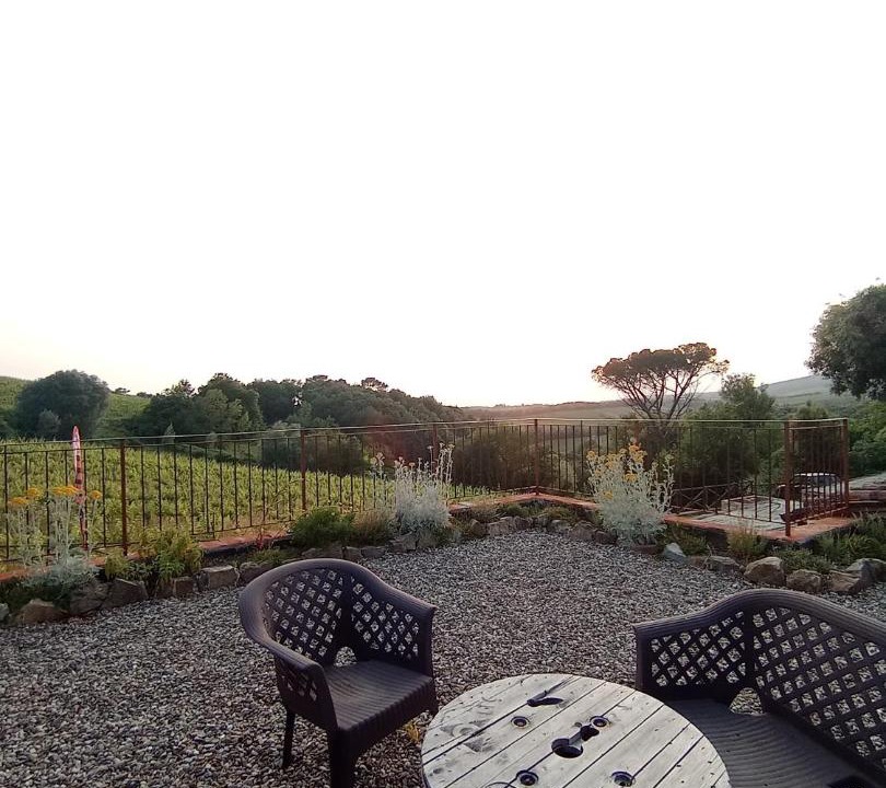Photo of Others in Castelnuovo Berardenga