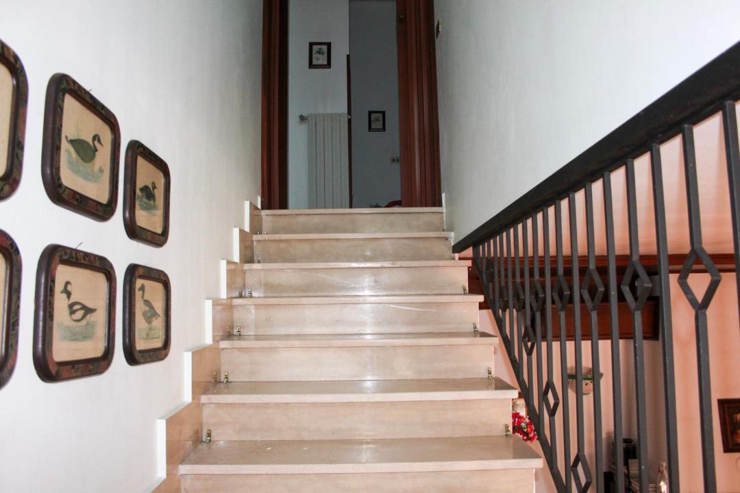 Photo of Others in Montemiletto