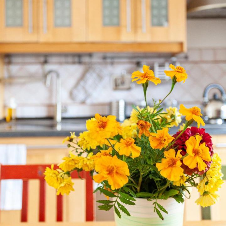 Photo of Kitchen in Rocca Priora