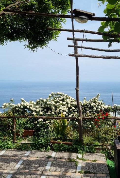 Photo of Others in San Michele