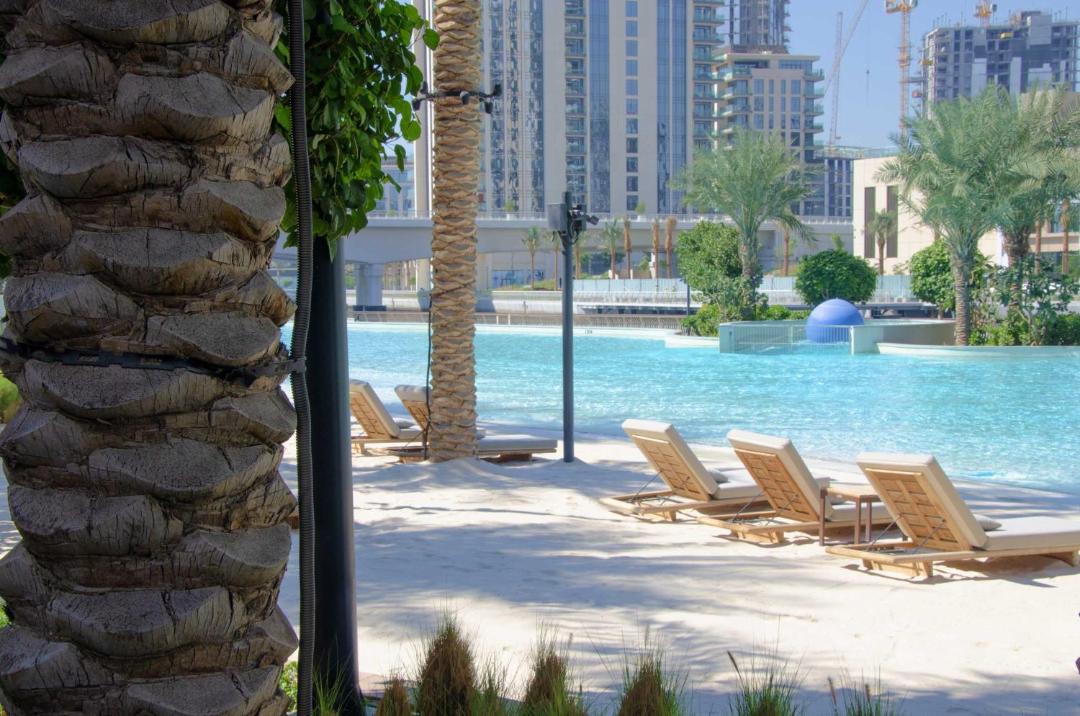 Photo of Others in Dubai