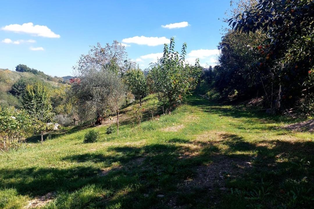 Photo of Outdoor in San Leucio del Sannio