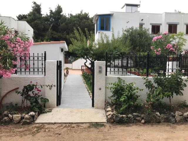 Photo of Others in Tremiti Islands