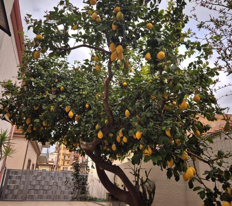 Photo of Outdoor in Catanzaro Lido