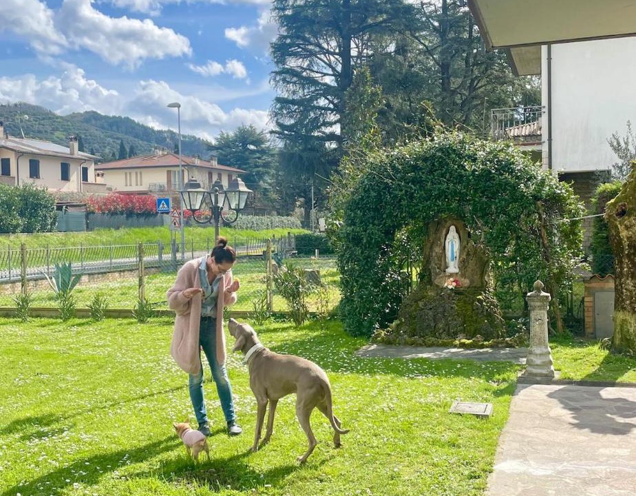 Photo of Others in Fognano