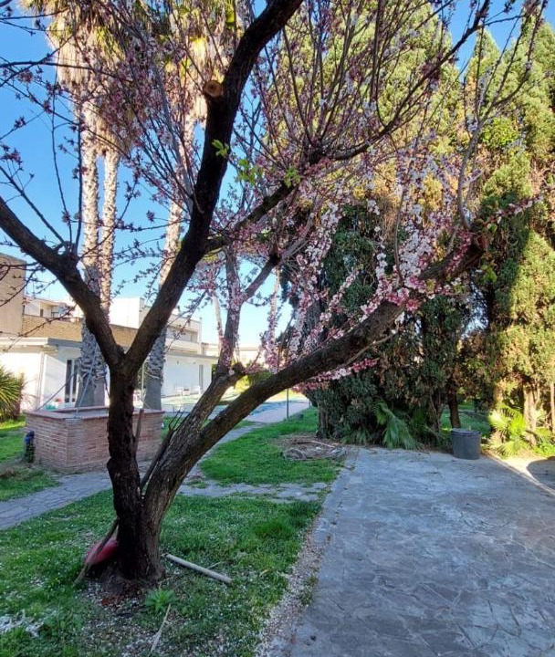 Photo of Outdoor in Brusciano