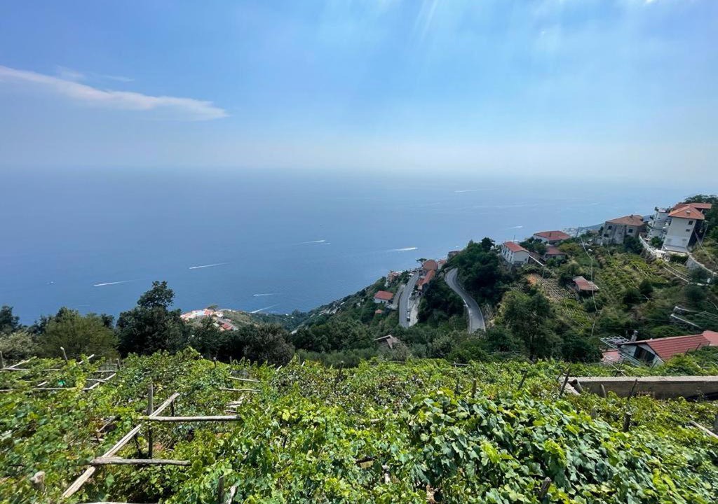 Photo of Others in San Michele