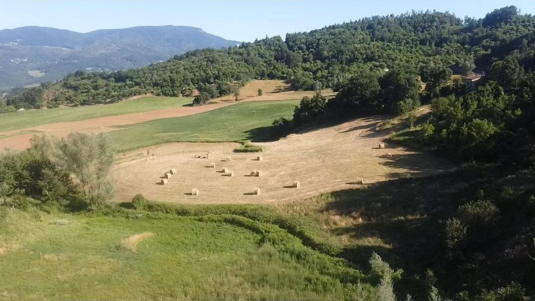 Photo of Others in Bagno di Romagna