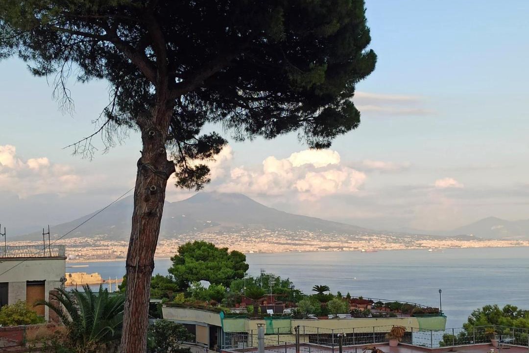 Photo of Others in Naples