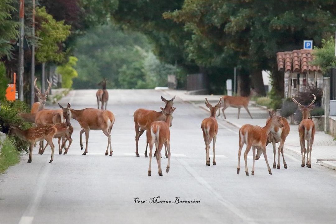 Photo of Others in Villalago
