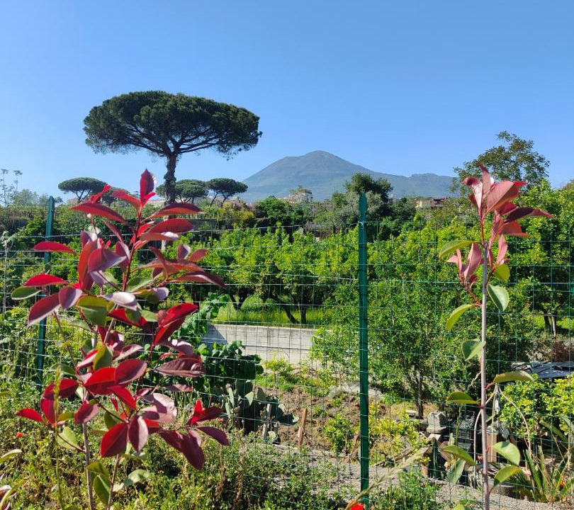 Photo of Outdoor in Mount Vesuvius - Pompei