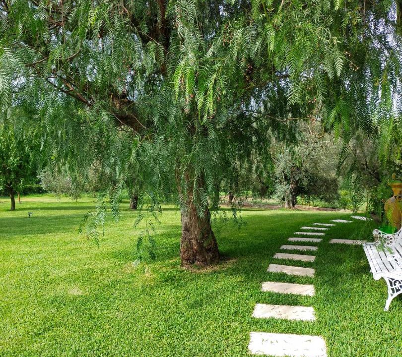 Photo of Outdoor in Melizzano