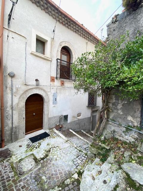 Photo of Others in Montenero Val Cocchiara