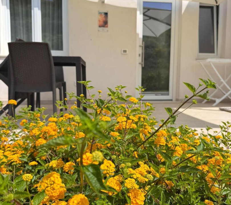 Photo of Patio Balcony in Drapia