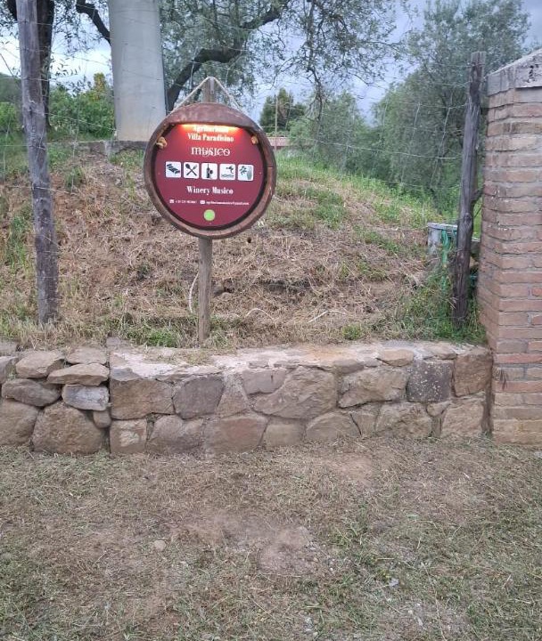 Photo of Others in Montalcino