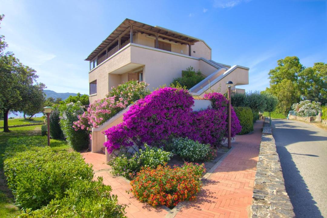 Photo of Others in Porto Rotondo