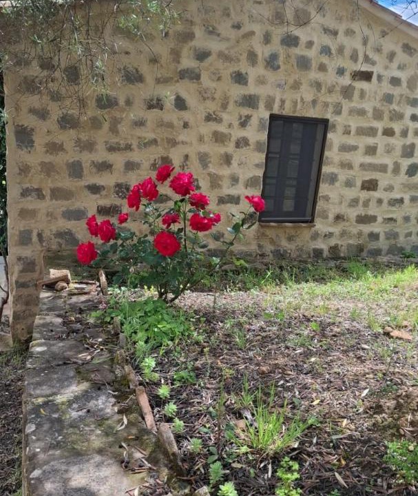 Photo of Others in Montalcino