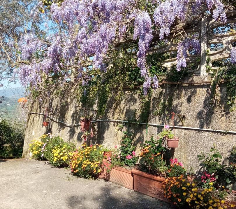 Photo of Others in Caiazzo