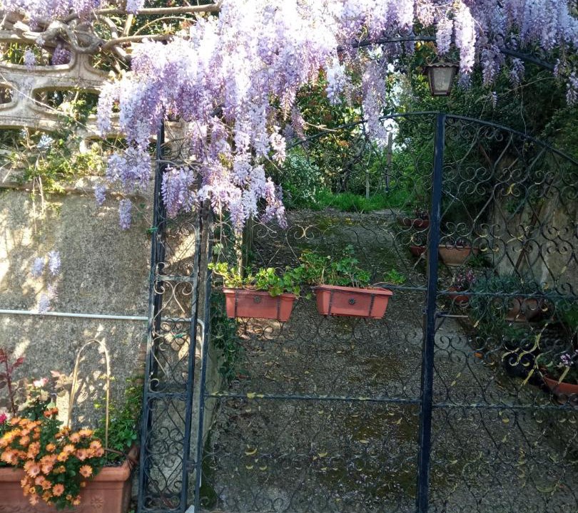Photo of Others in Caiazzo