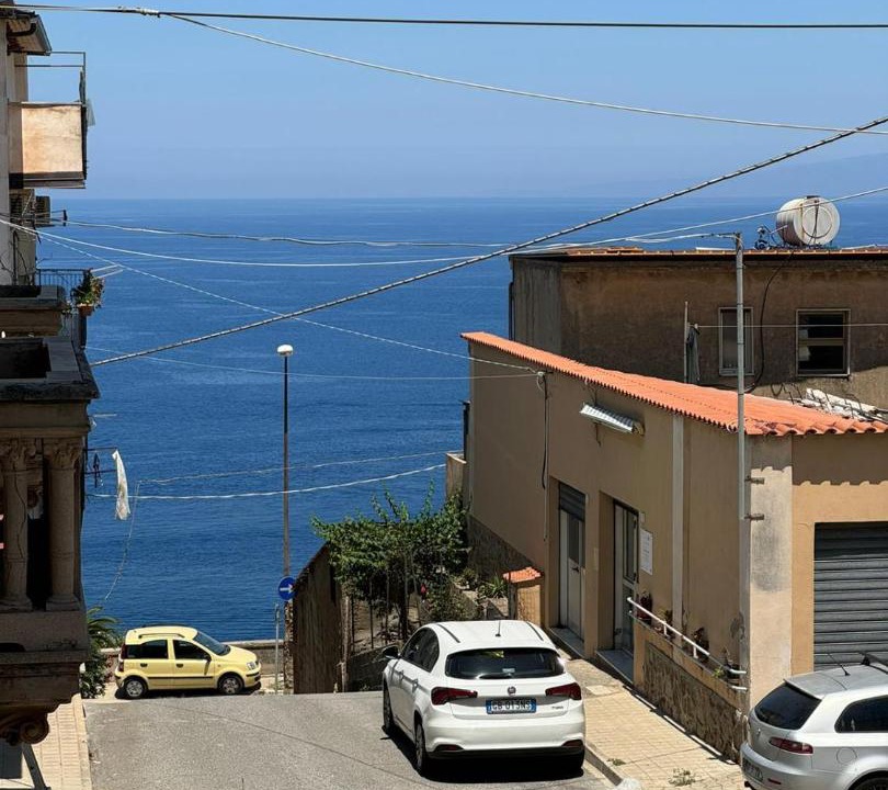 Photo of Others in Scilla