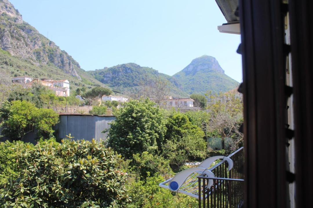 Photo of Patio Balcony in Meta