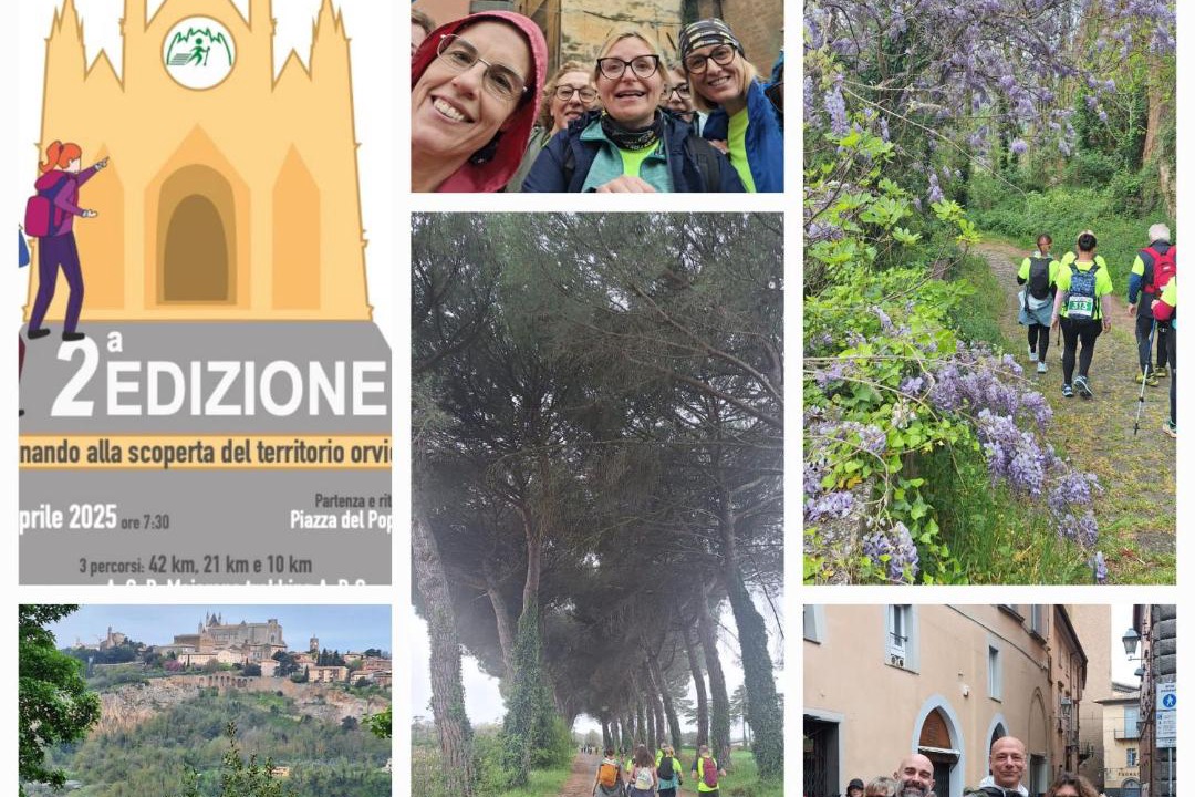 Photo of Others in Orvieto