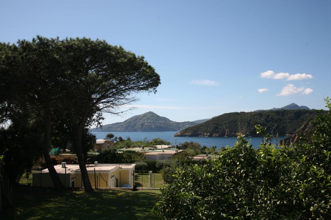 Photo of Others in Procida