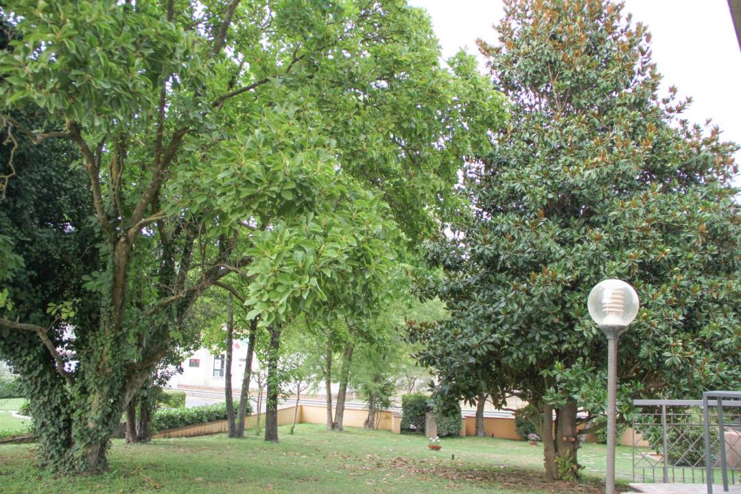 Photo of Outdoor in Piedimonte San Germano