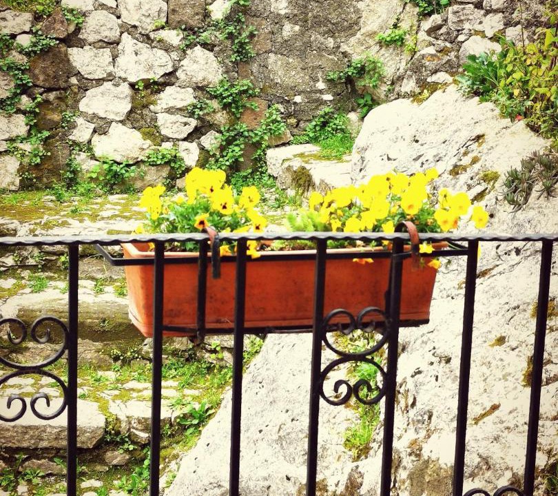 Photo of Others in Artena