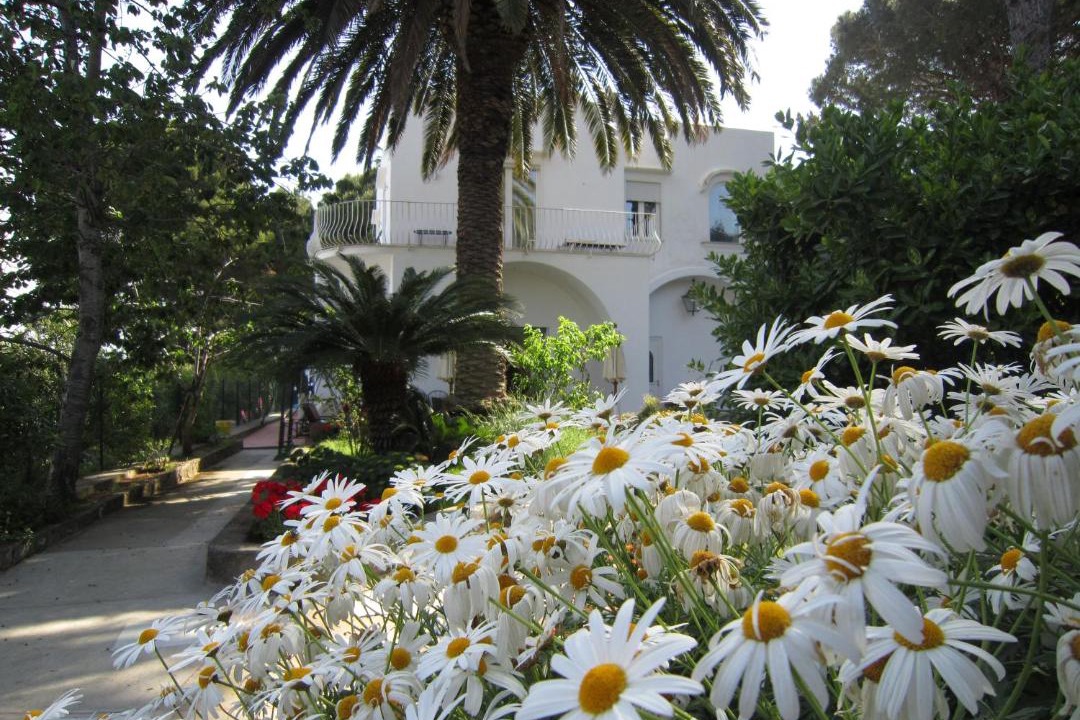 Photo of Others in Anacapri