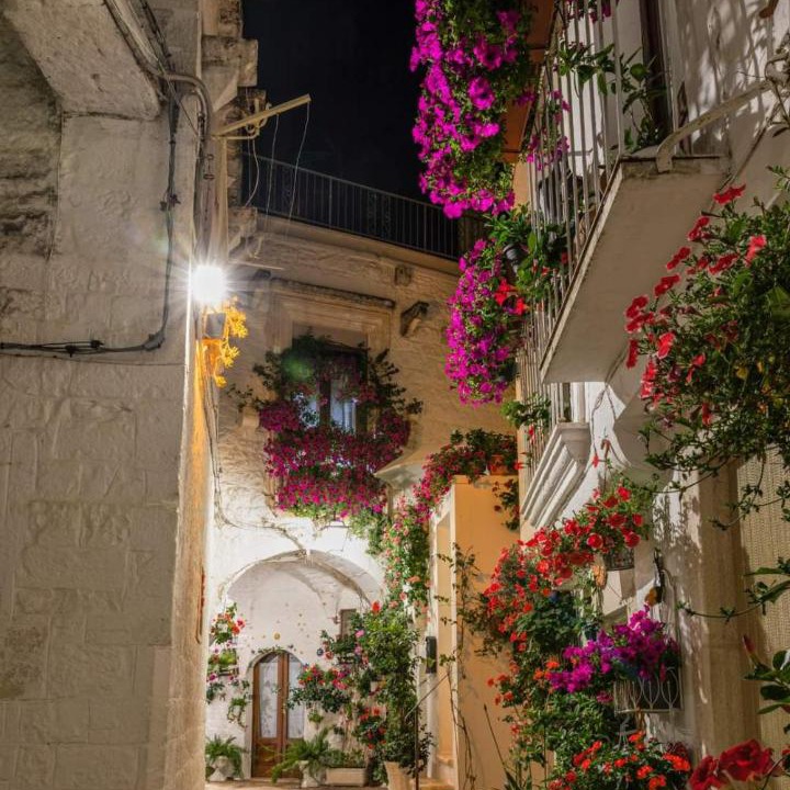 Photo of Others in Old Town Cisternino