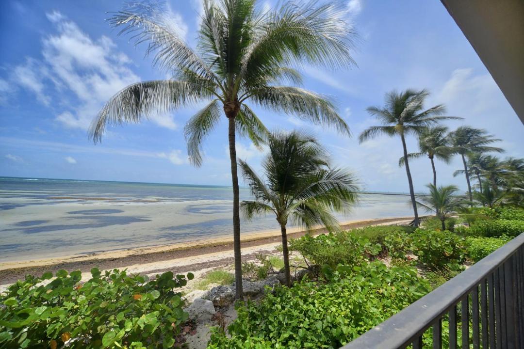 Photo of Others in Key West