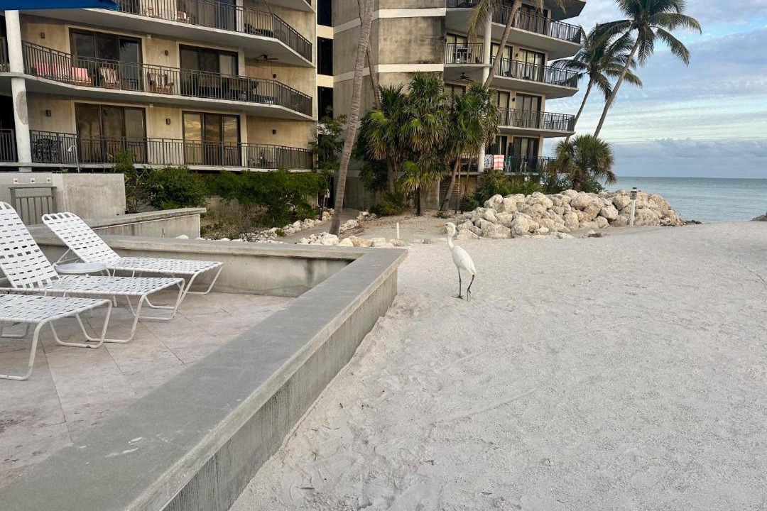 Photo of Others in Key West