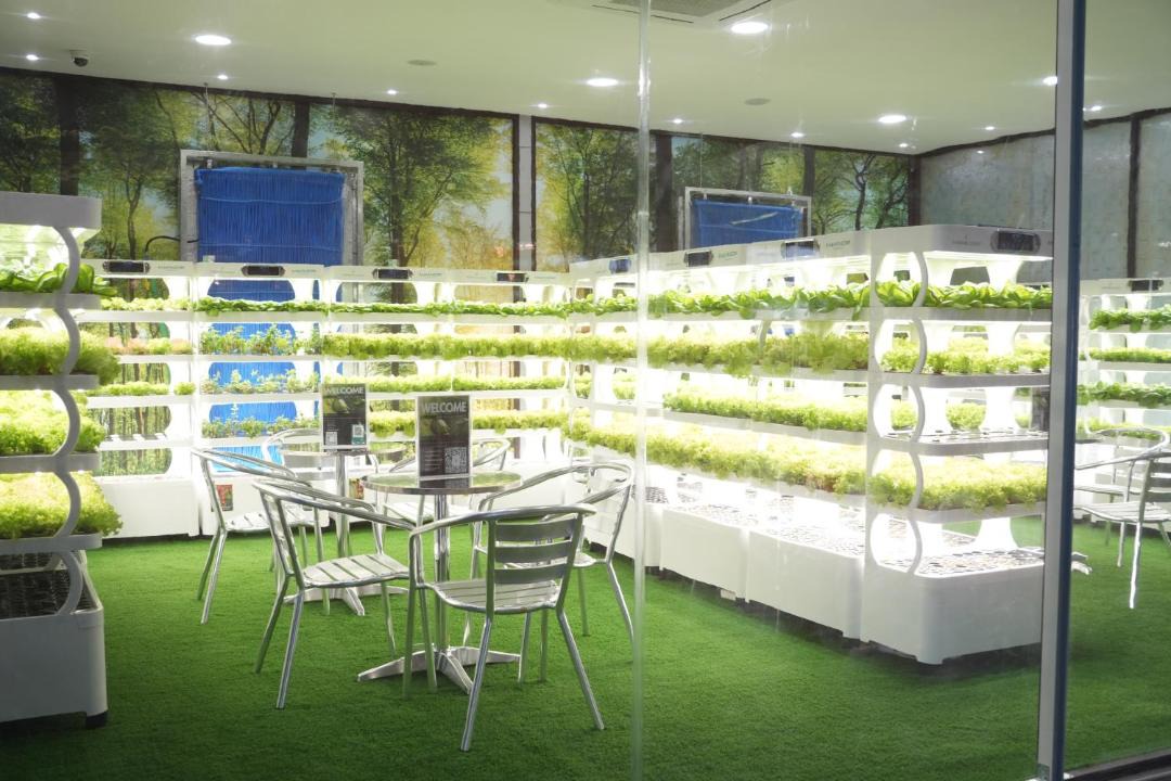 Photo of Others in Dubai Sports City