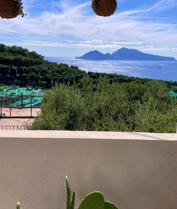 Photo of Patio Balcony in Marina di Puolo