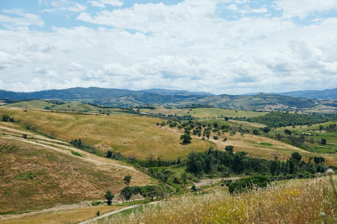 Photo of Others in Cinigiano