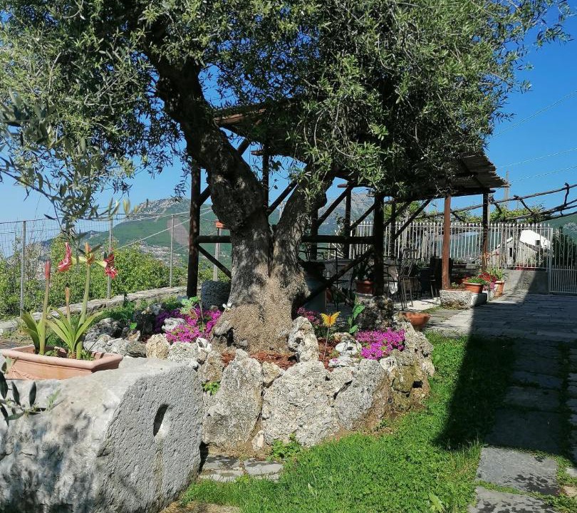 Photo of Others in San Lazzaro