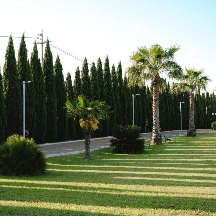 Photo of Others in San Severo