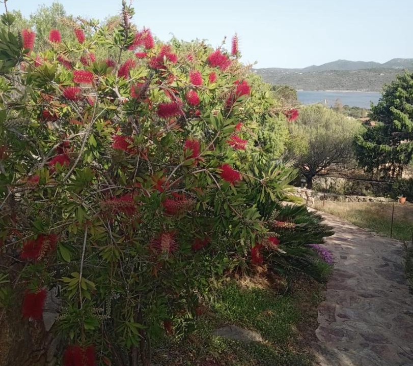 Photo of Others in Cugnana Verde