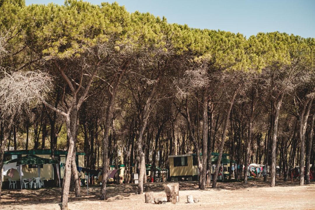 Photo of Others in Roccelletta